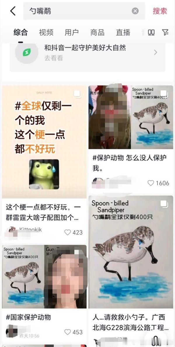 为什么要把一群猪头放在勺嘴鹬旁边。。。 
