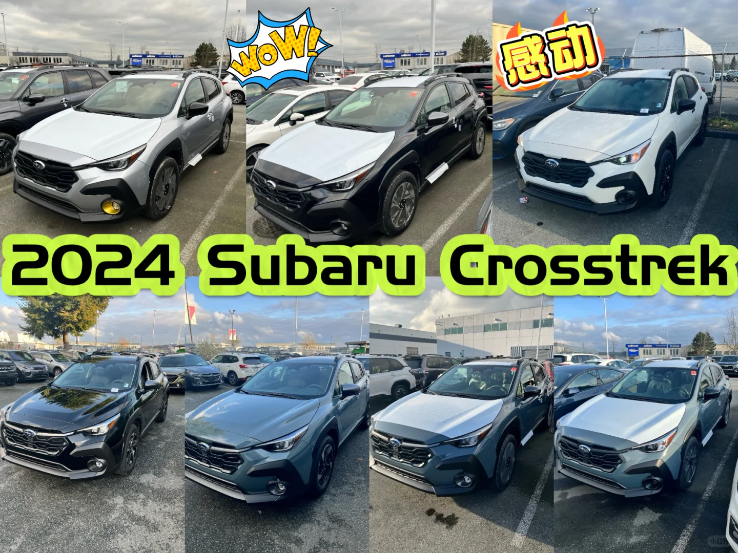 港口放行终于到了 斯巴鲁 Crosstrek