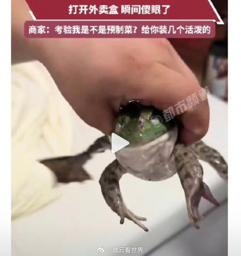 点外卖收到活牛蛙女子发声不中...你这女子点外卖备注“牛蛙不要烧”是几个意思啊给