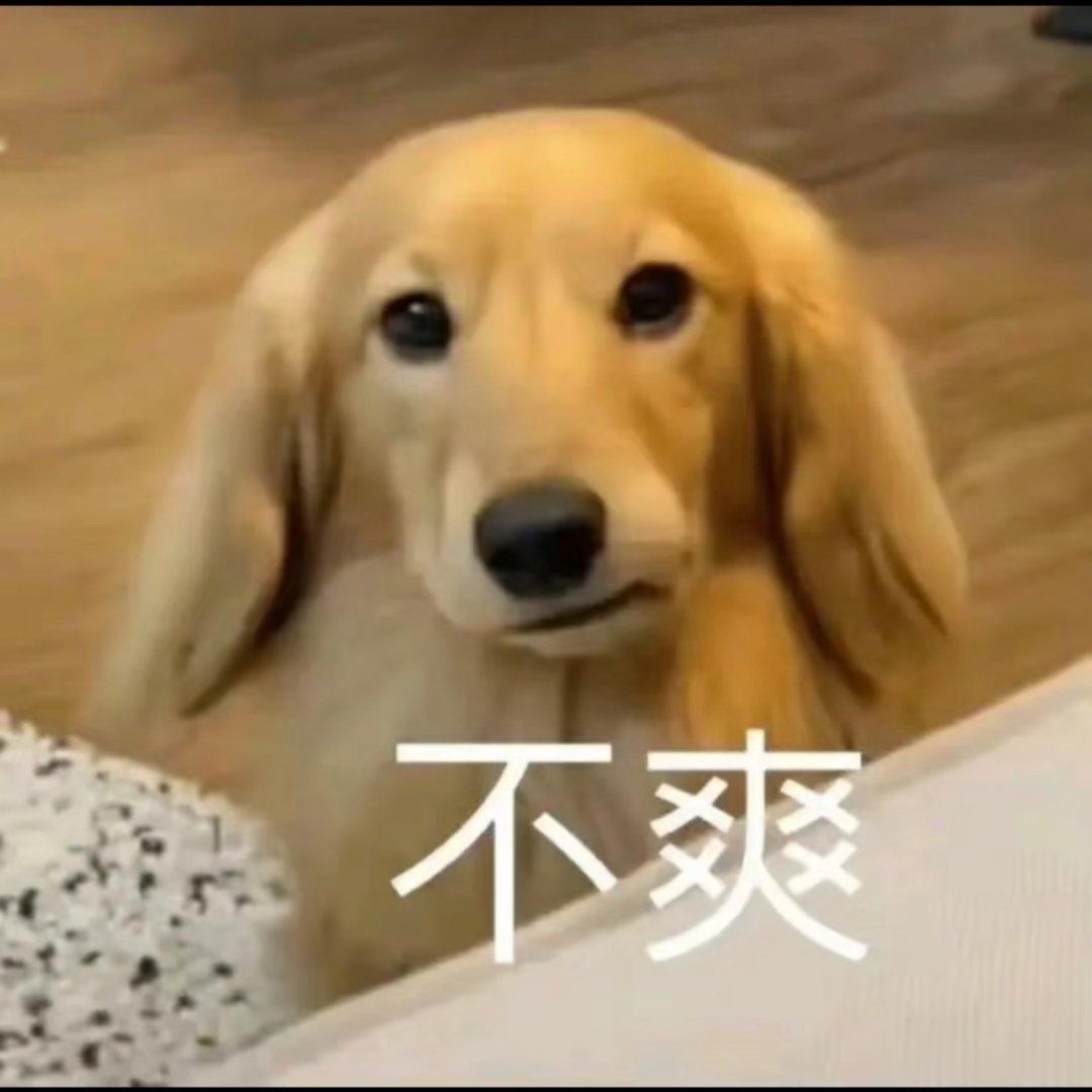 趣味表情包～ 