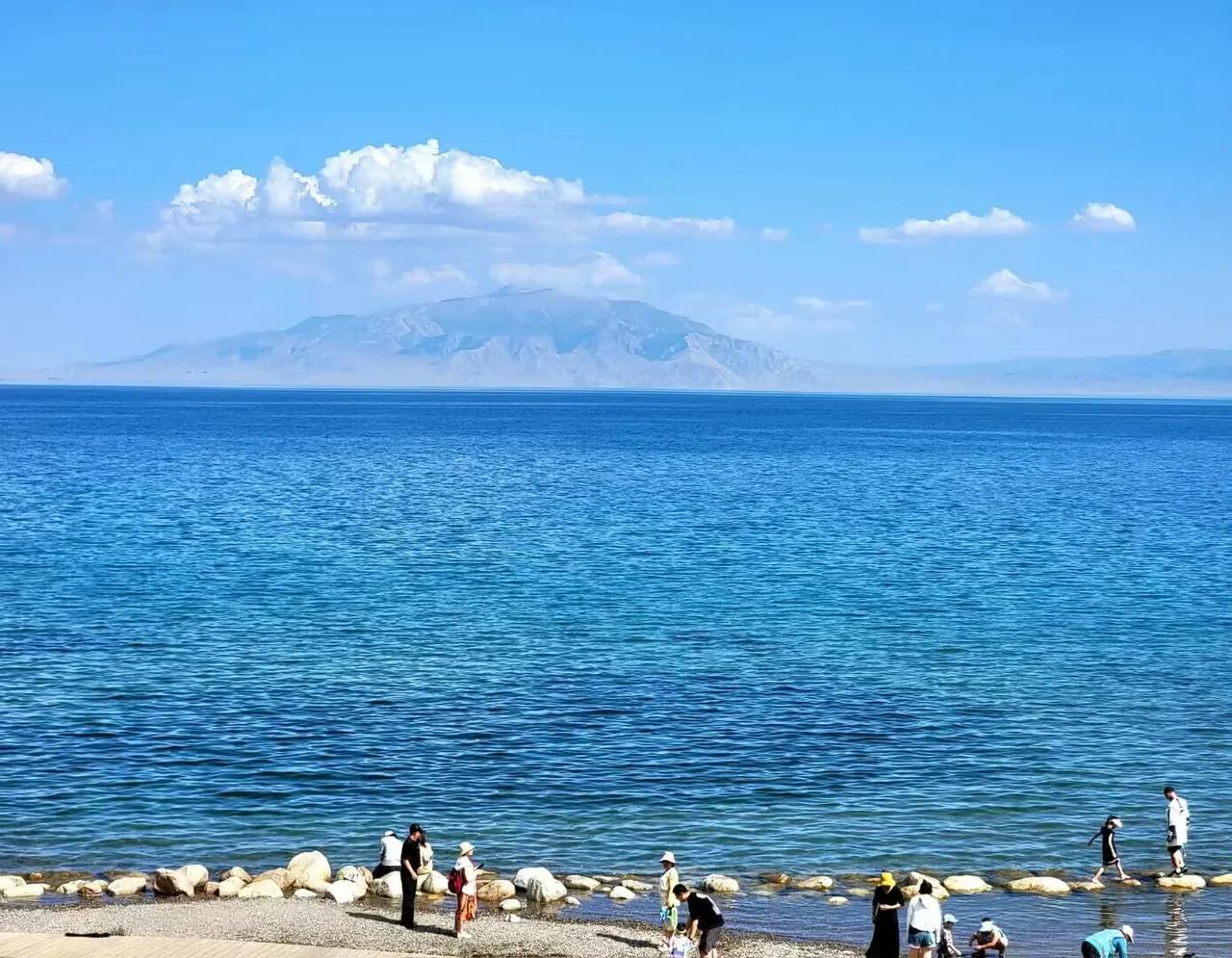 同行们没生意，拼命降价抢订单，让我苦不堪言！

这还得从4月份广交会我的一家竞争