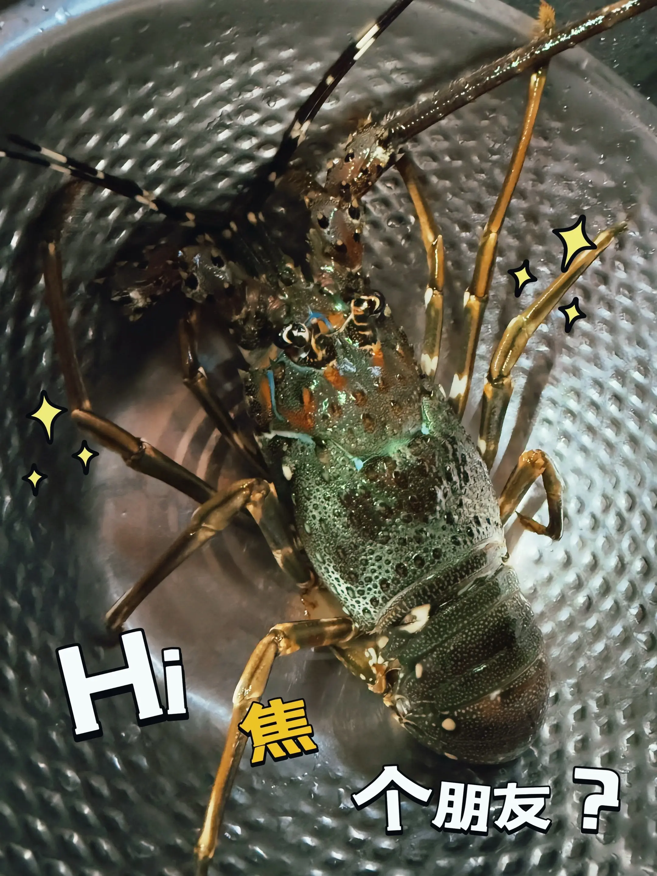 真想开个🎒📖，告诉你A每天都吃什么☺️