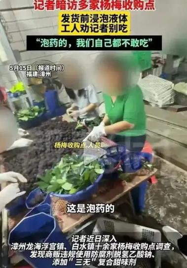 女记者杨威，因为曝光福建漳州龙海区“药水杨梅”的内幕，直接捅了部分当地种植户的马