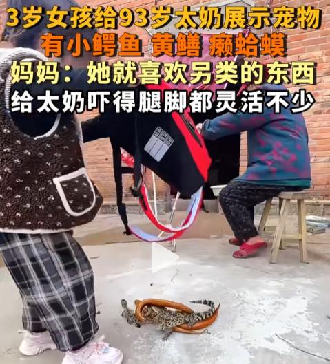 硬是把太奶逼得健步如飞！[心]

鳄鱼黄鳝我忍了，癞蛤蟆什么鬼，不是皮肤分泌毒液