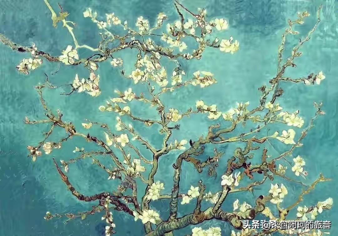 1890年的圣雷米精神病院里，医生不让梵高碰画笔——他发病最严重那段日子，连颜料