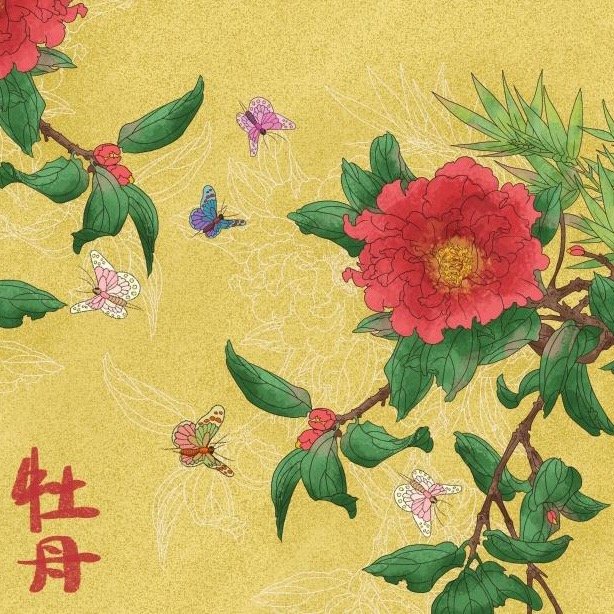 晚安，三无量。今日满栏开似雪，一生辜负看花心。 