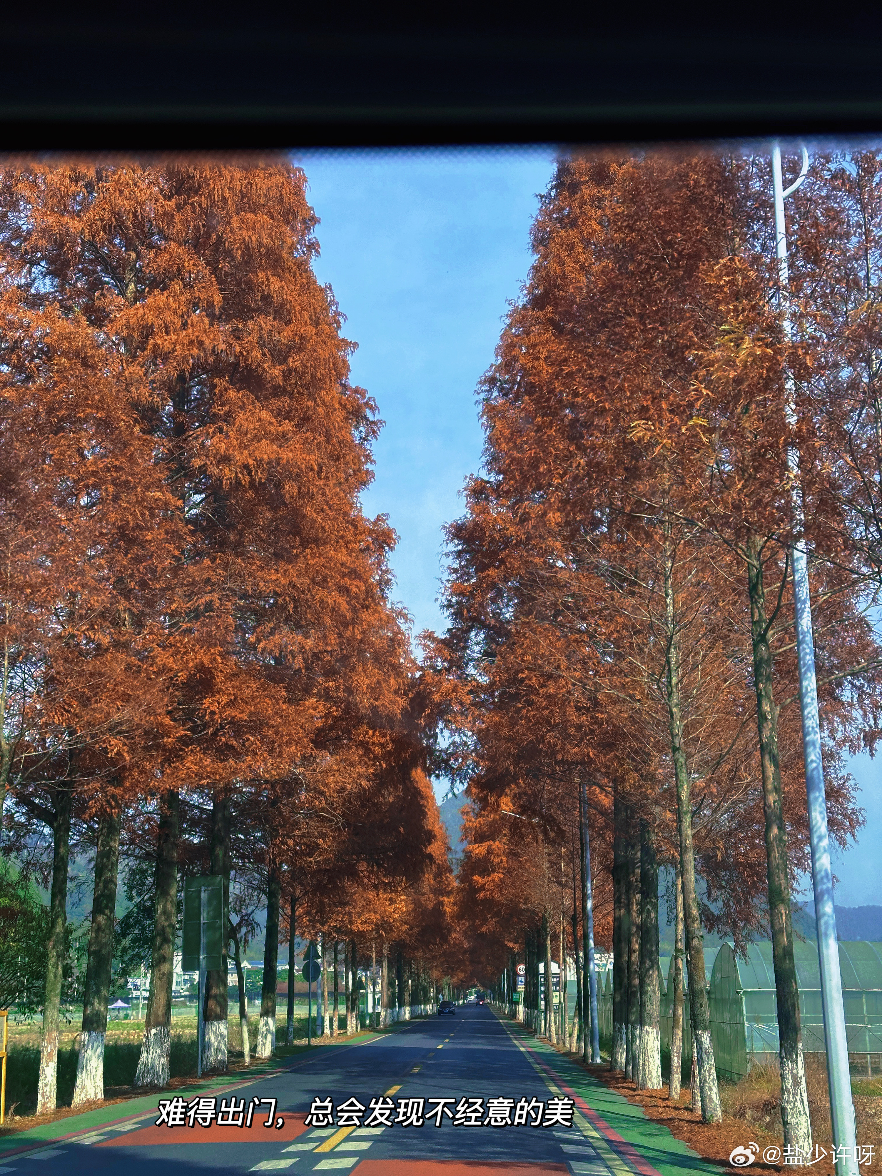 PLOG.77[微风][微风]盐盐的日常又到了框框炫橘子的季节！赶上天气正好，和
