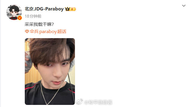 电竞百灵鸟要上线了？这次会是什么歌呢？2026PEL para的生活碎片