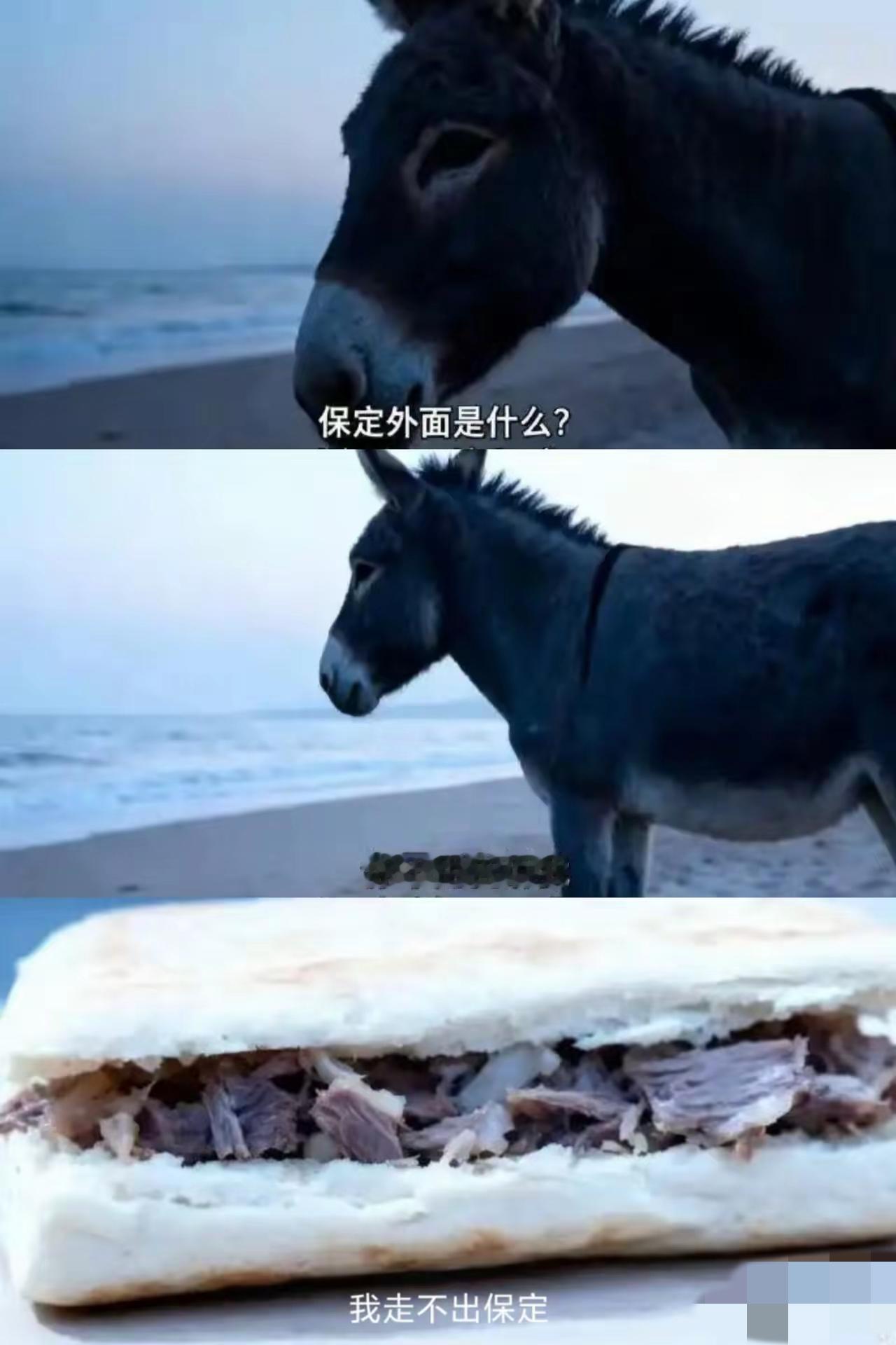 是真的吗？