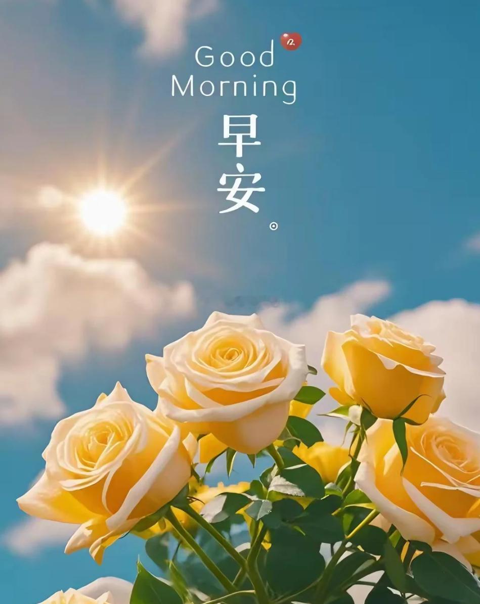 周一 我们总在经历中成长，在体验中懂得。认真对待此刻，就是对自己最好的善待。早安