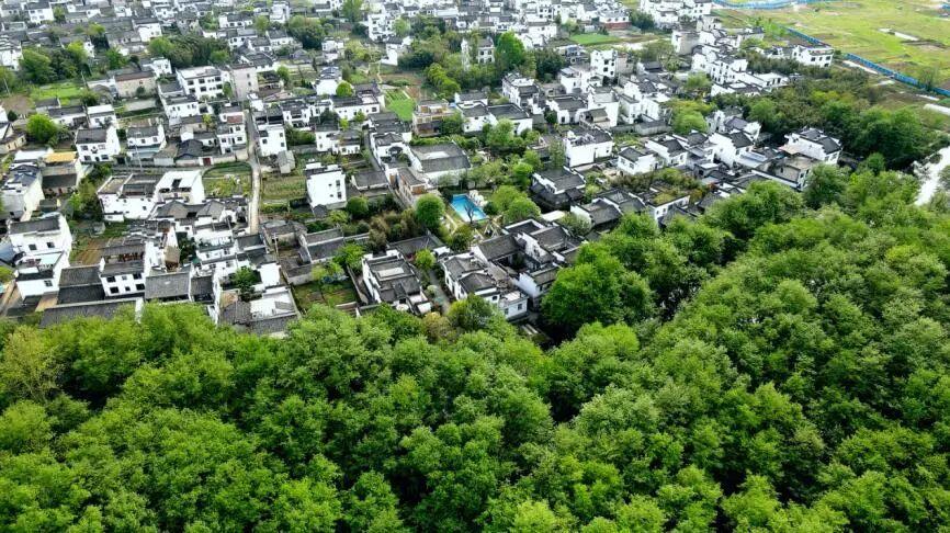 徽州区西溪南“村创”入选全国“村字号”文化体育活动典型案例 | 皖美秋日

近年