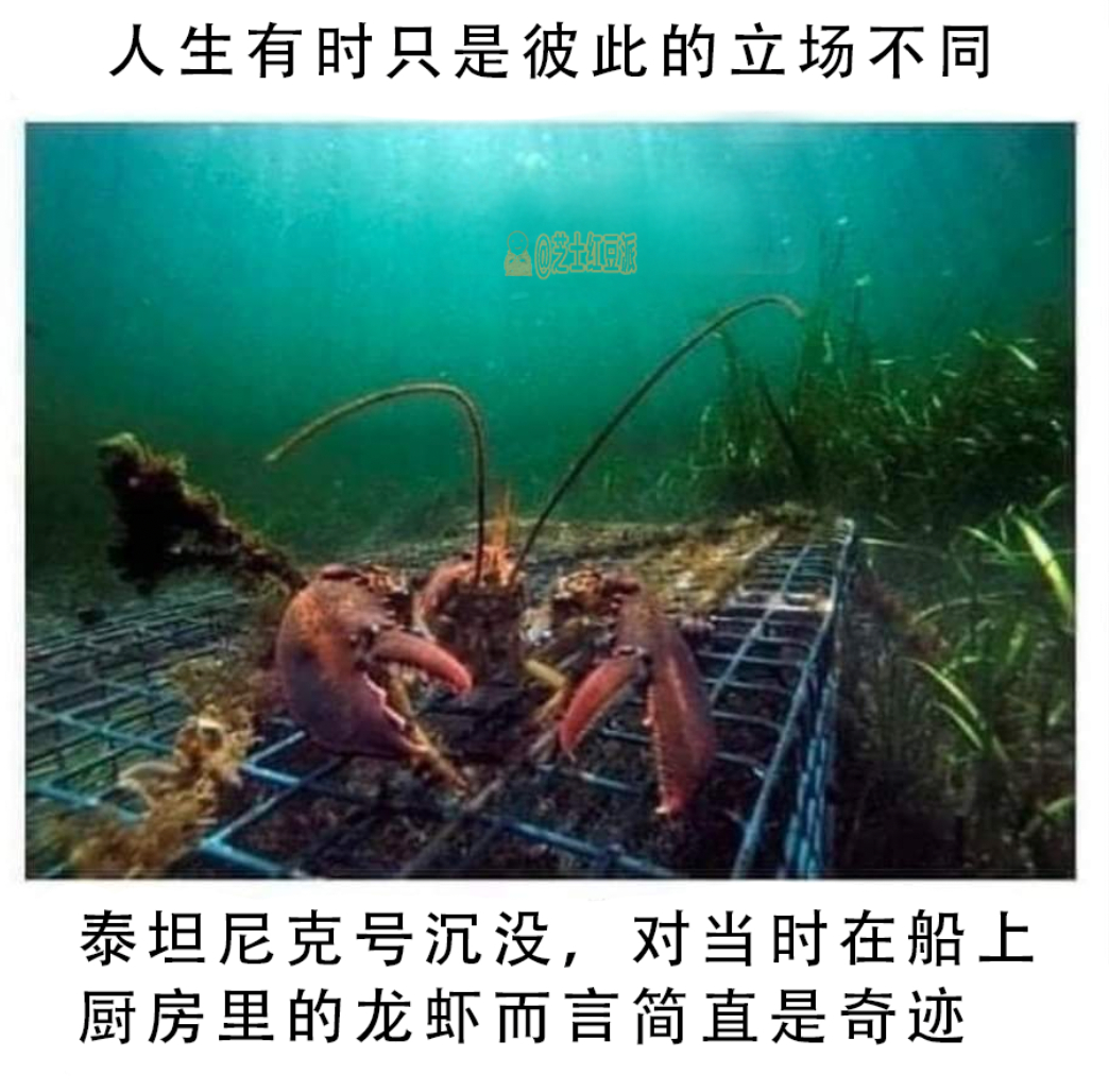 龙虾：我自由啦#meme# ​​​