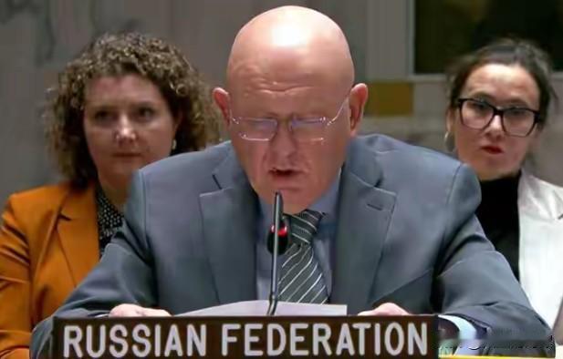 一语中的！俄罗斯常驻联合国代表，12日在安理会表示:在乌总统泽连斯基“恢复理智、
