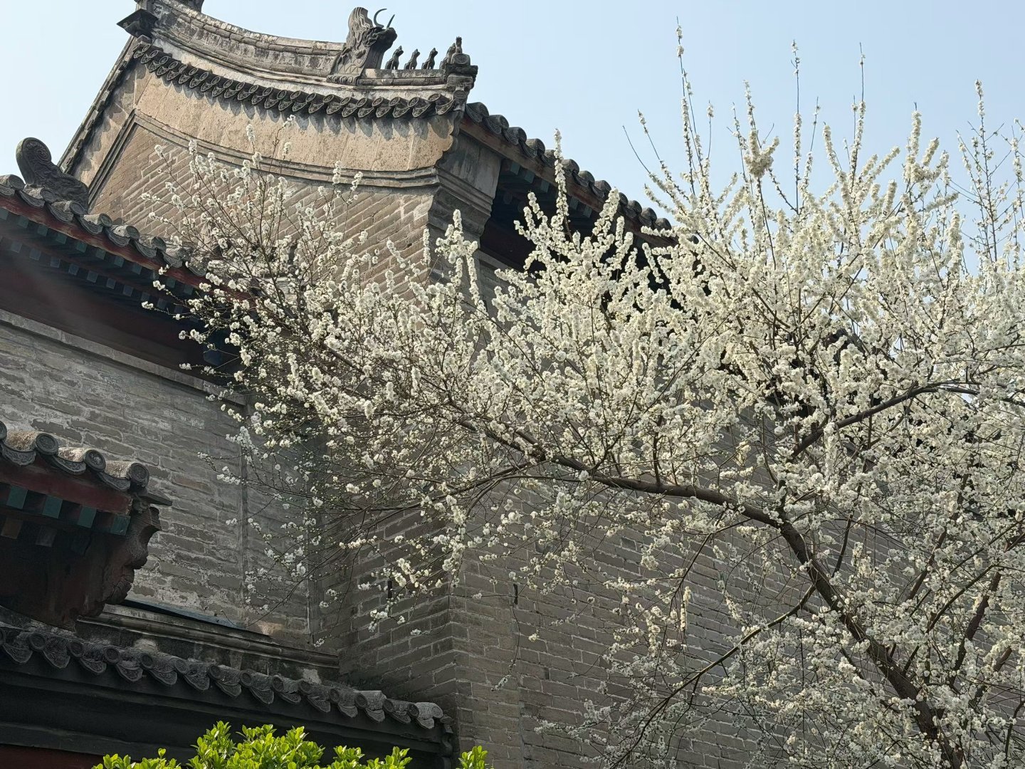 人间四月天，姹紫嫣红正当时 