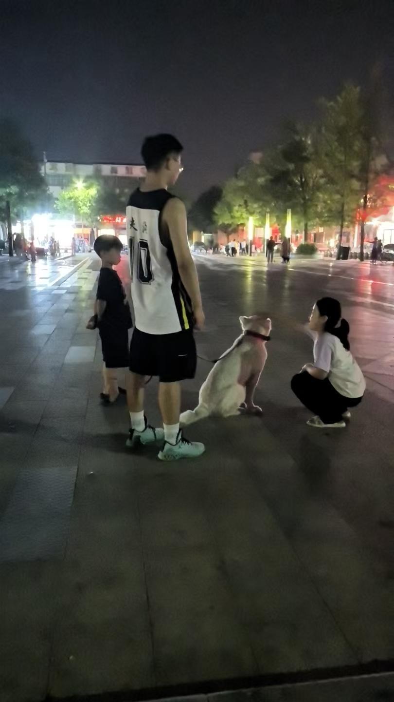 有说法，人间干净，莫过于孩子与犬，很是赞同。孩子的心境单纯，小犬的心境更是干净，