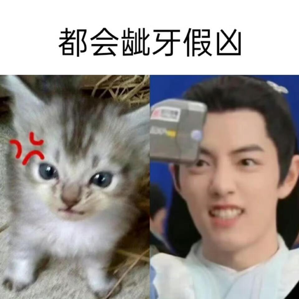 早安小赞咪肖战