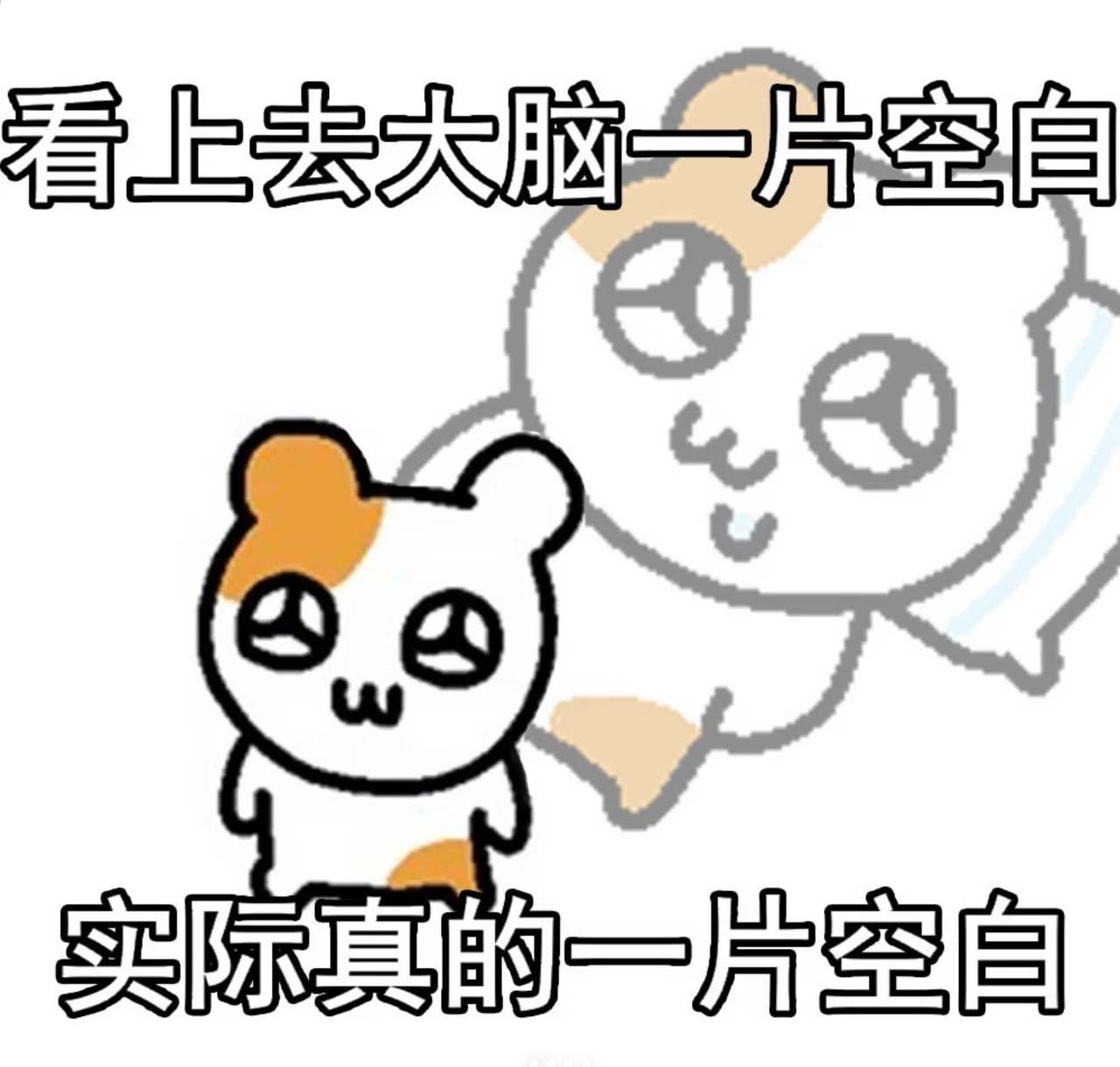最近看到大学生现在可以免费领取3个月豆包订阅权益，我第一反应是：3个月呢，不用白