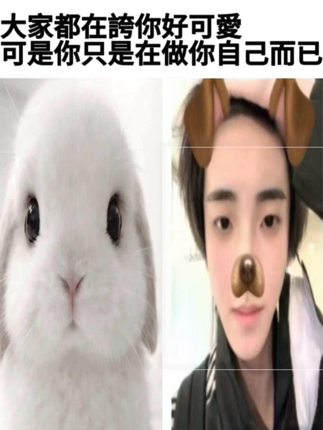 分享图片 