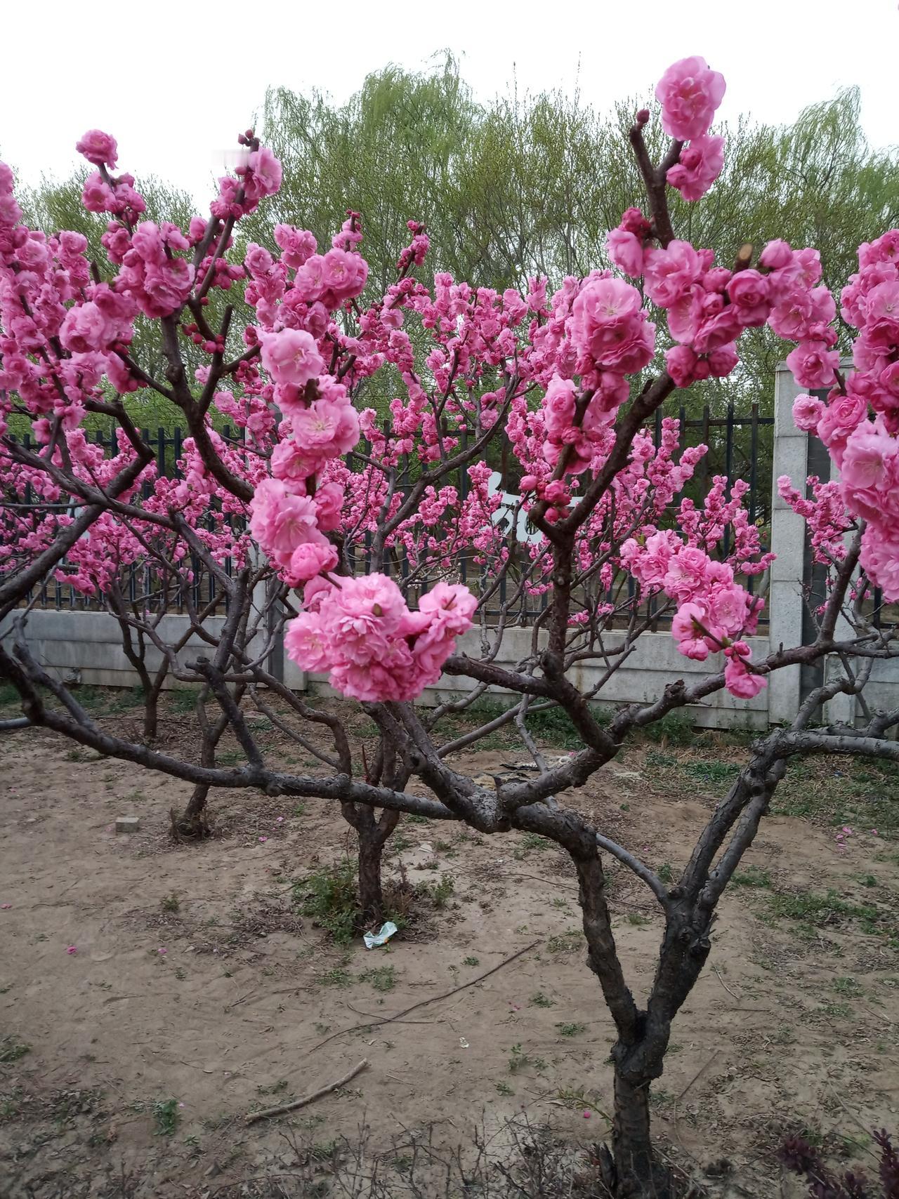 二十年，我在北京运动地图
2005年二月初，东北边陲小城牡丹江仍笼罩在料峭春寒中