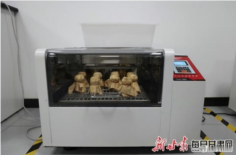 质量强企：全链管控筑牢生物制造根基质量甘肃行探新仰韶生物智造 2026年主流媒体