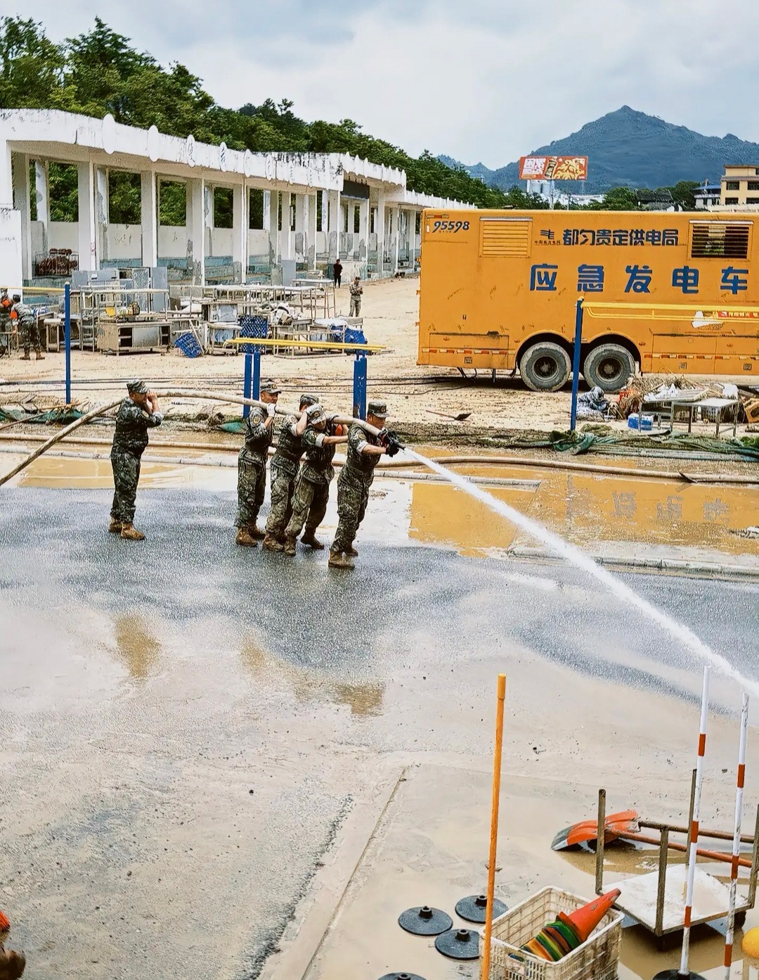 把这些照片挂在校园里，让孩子记住他们的样子！ 
