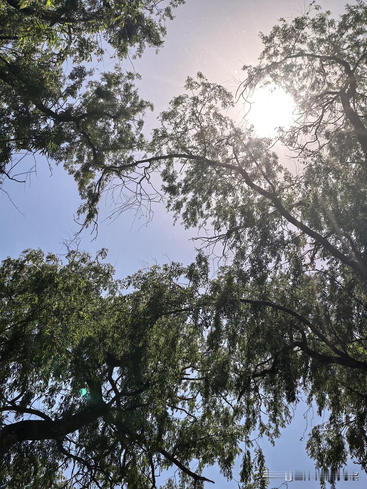 刚刚完成了国家版基层病种的数据处理、病种筛选和初稿目录，并提交专家审核。
就目前