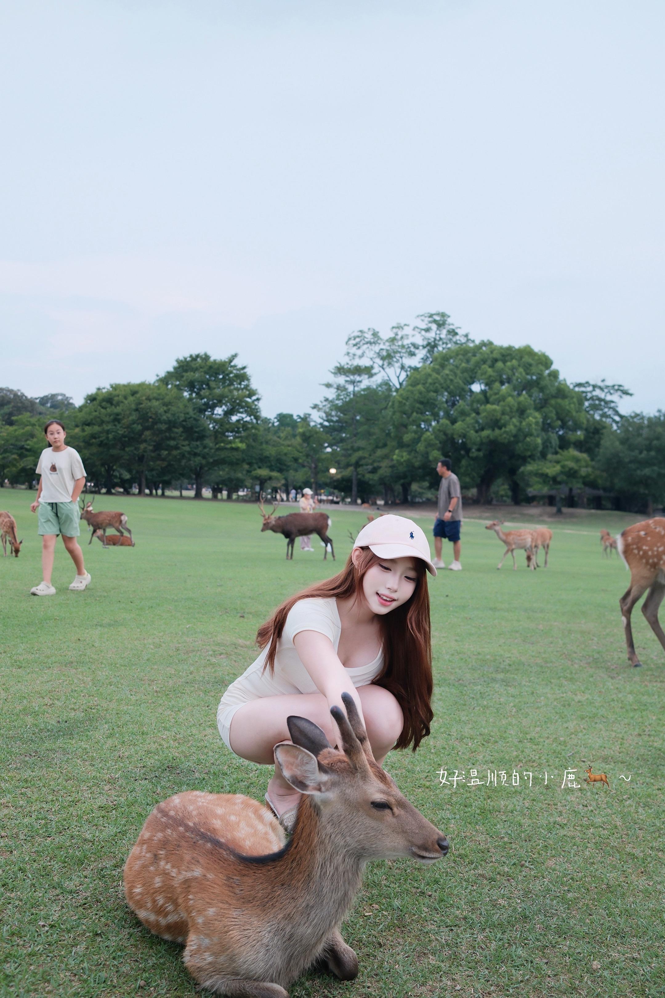 我的奈良小记📖 太喜欢大自然充满鲜活生命力的感觉了！小鹿都好乖🦌