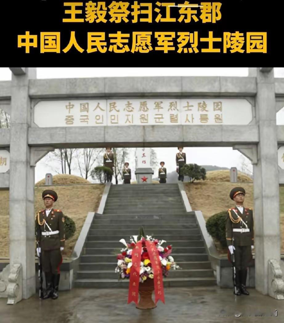 一跪一菊，致敬最可爱的人！
王毅外长访朝，冒雨拜谒志愿军烈士陵园。单膝献花的瞬间