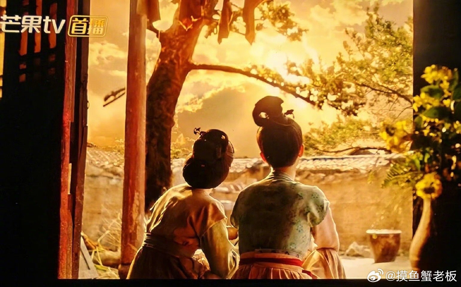 世界破破烂烂 落日依旧好看 我勒个豆啊，国色芳华何惟芳和胜意看夕阳这一段真的氛围