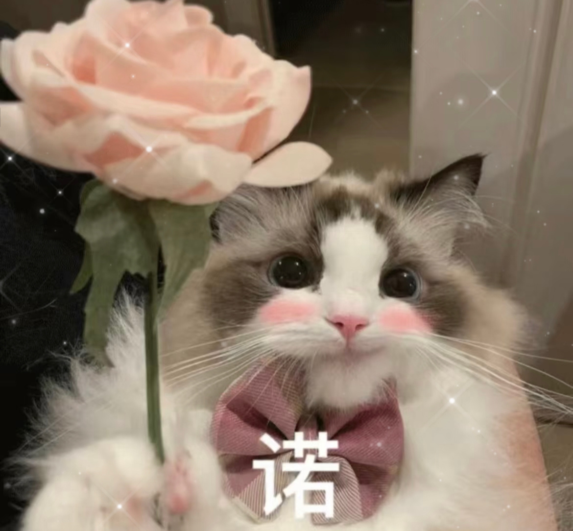 北京本周五要来暖气啦家人们早～好消息：北京终于舍得供暖了[捂嘴哭]早安 ​​​