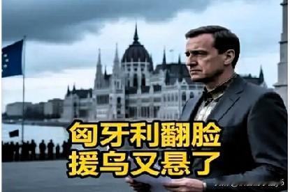 冯德莱恩力推的欧盟援乌计划如今有点悬了。
常言道“仓廪将空，地主乏粮”，欧盟用于