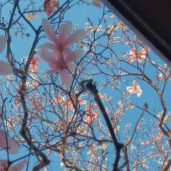 每日一善   每日一善   阳光信用 生命中总会遇到或多或少的问题，很多时候我们