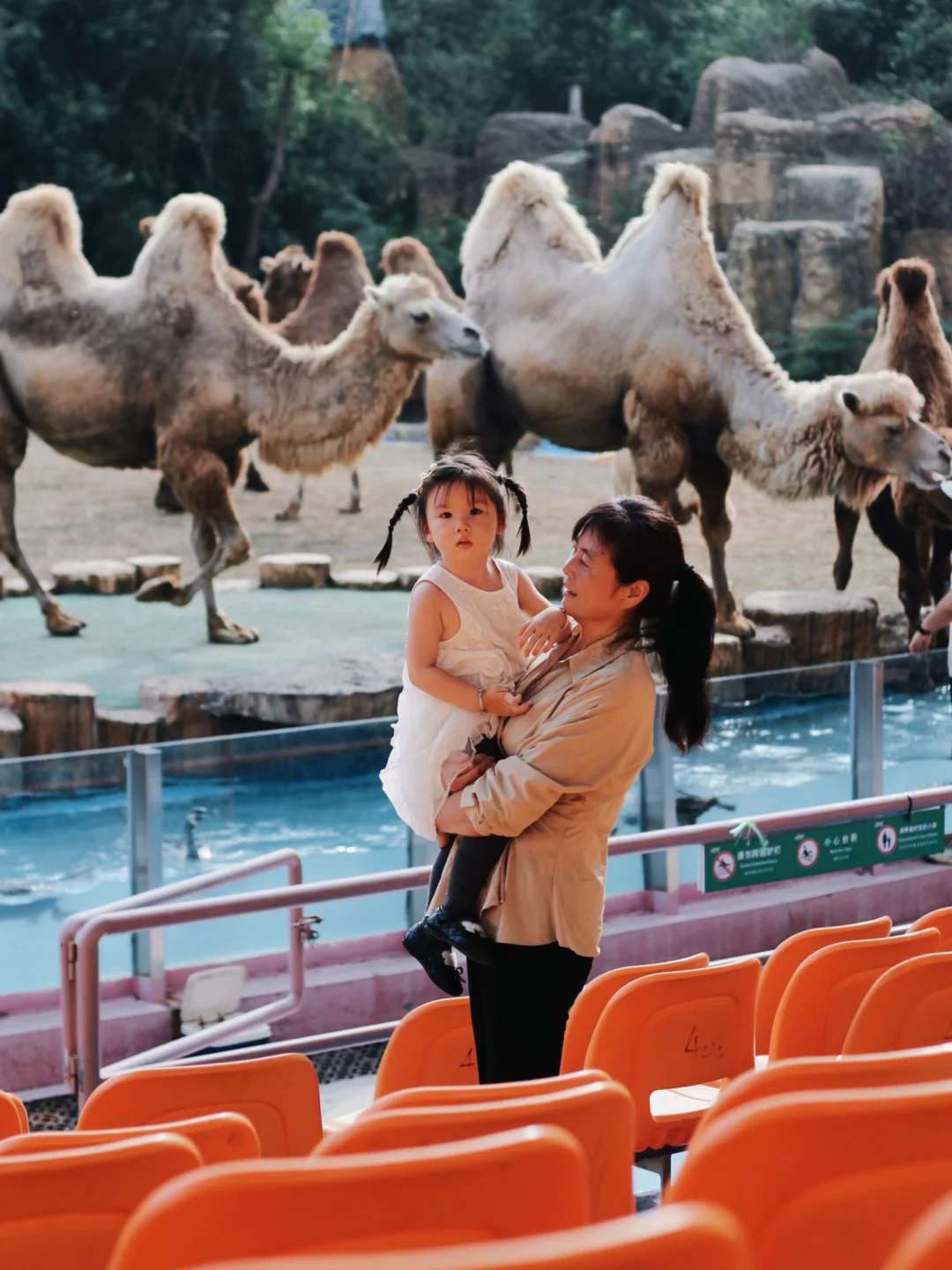 江浙沪遛娃 一定逃不掉的龙之梦乐园🌍