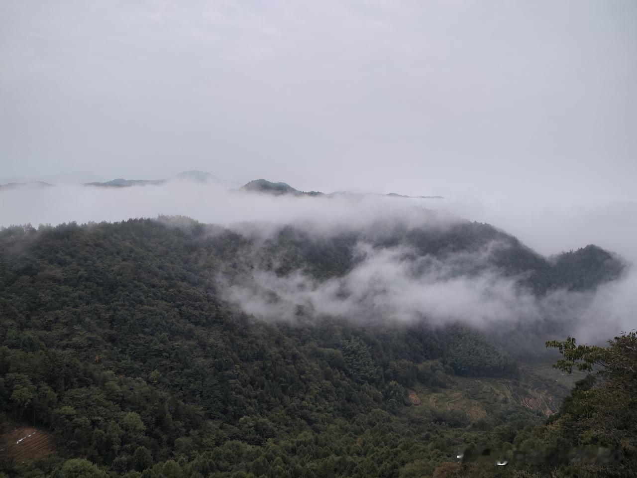 根据伊朗官方发布的最新声明，伊朗已宣布恢复对霍尔木兹海峡的严格管控，理由是美国的