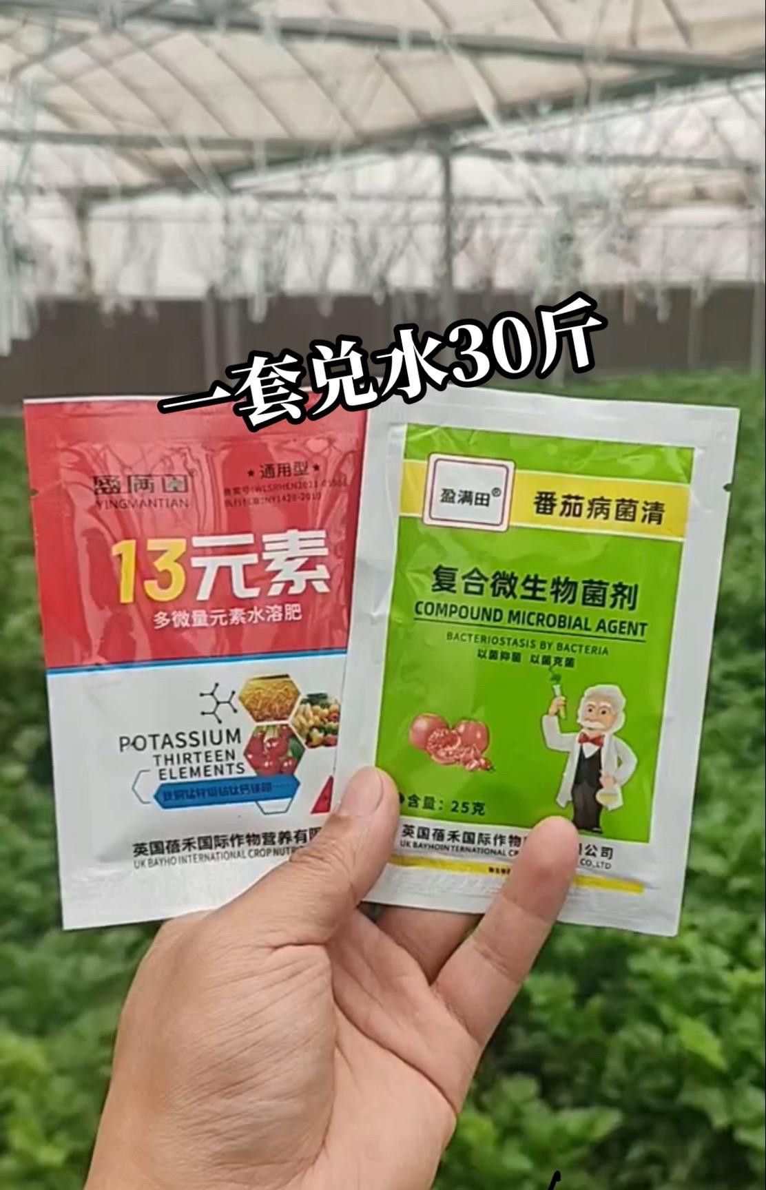一套兑水30斤，番茄病害少产量高西红柿种植 番茄种植 病虫害防治用药方案 病虫害