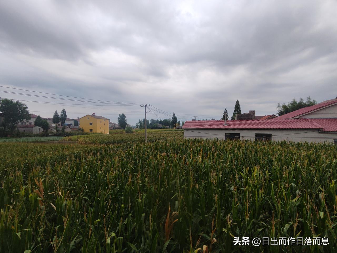 美丽乡村
回老家找不到路了
[捂脸][捂脸][捂脸][捂脸][捂脸][捂脸][捂