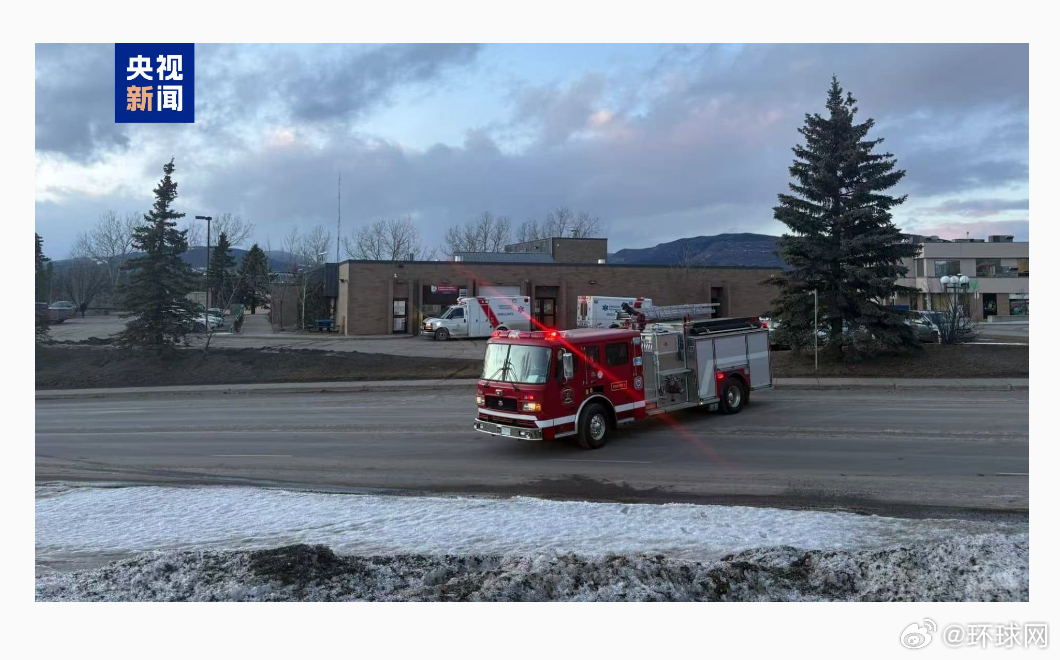 #加拿大枪手曾与Ai谈枪支暴力#【加拿大校园枪击案枪手作案数月前曾与人工智能发生