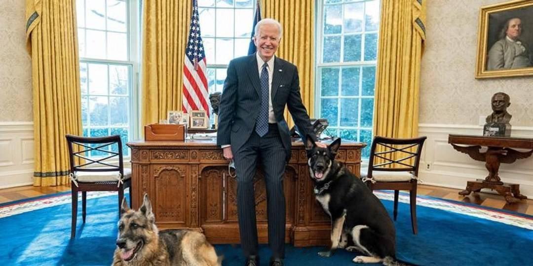 这两张照片都有一个共同点 ​​​