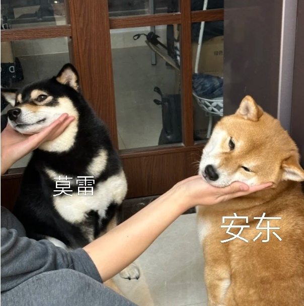别闹别扭了，你俩看着男双名单不心动吗？ ​​​