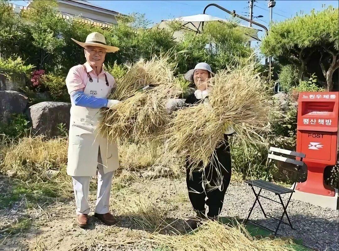 塞牙缝都不够，据说他曾经是一位