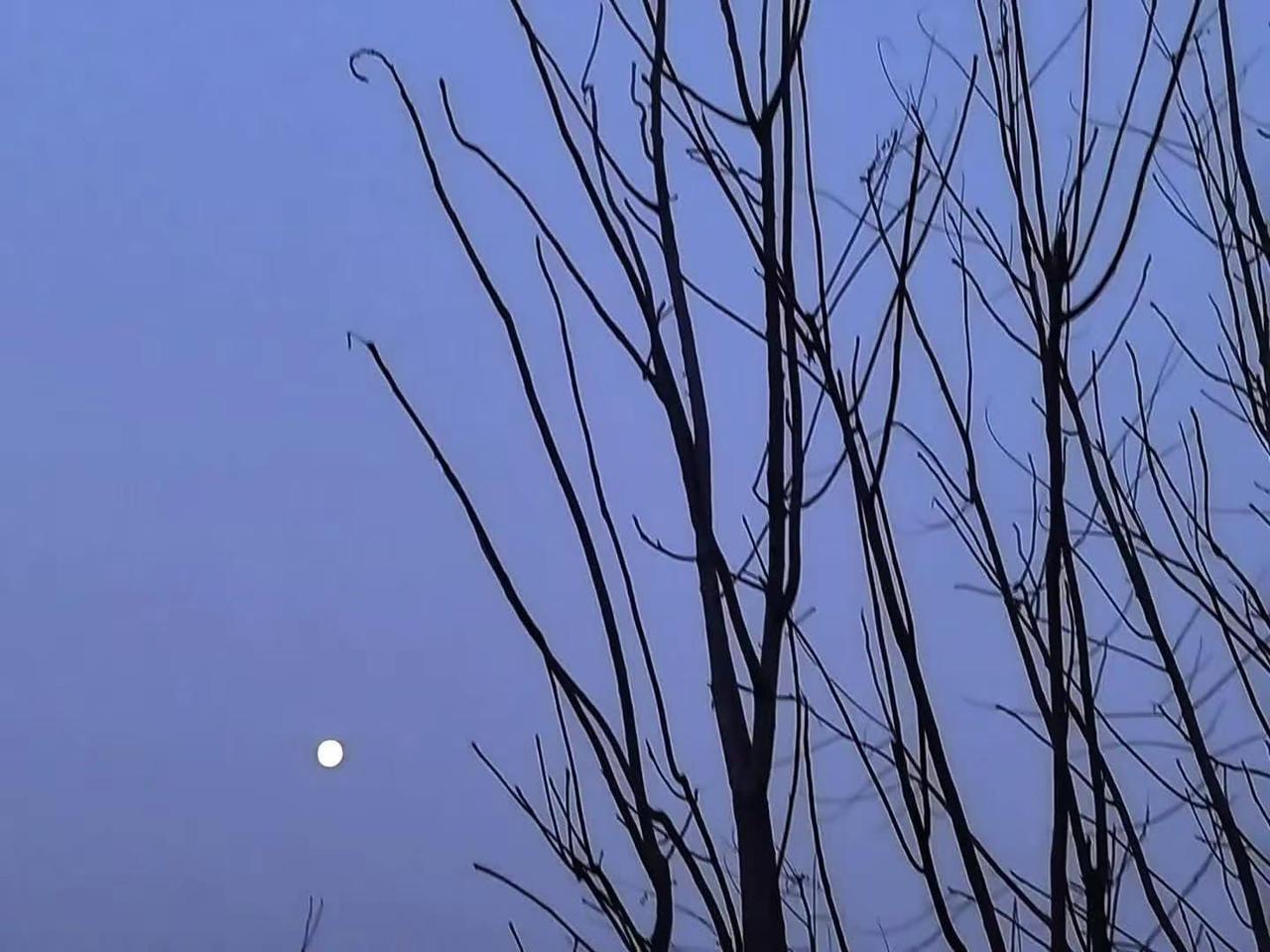 怎么会没有情绪呢?孩子一生病,心里所有的委屈就涌上心头,最痛苦的并不是生娃时的痛