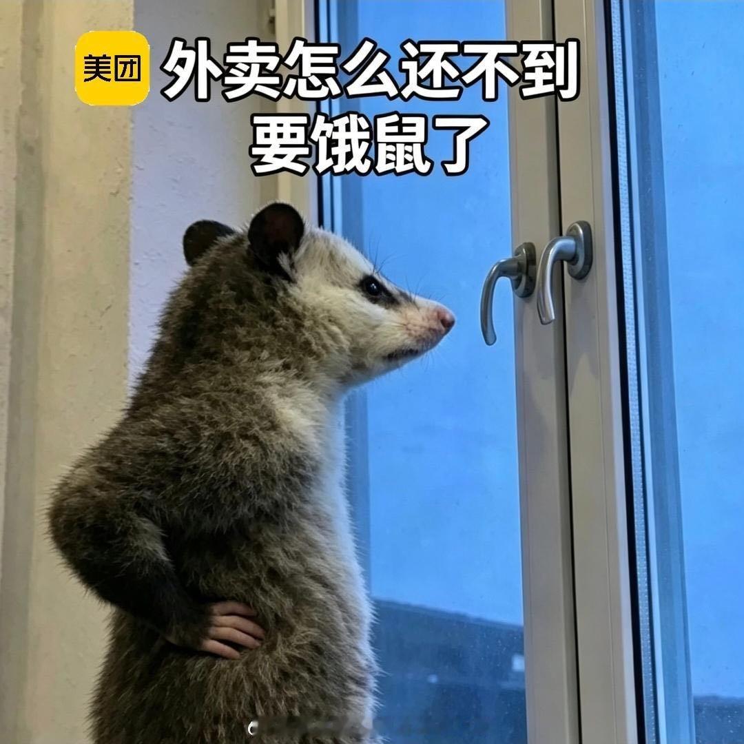 见识到三伏天的厉害了每天被三伏天的热浪困住脚步，懒得下楼买菜做饭，随便点开美团外