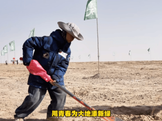 甘肃春天的仪式感是种梭梭志愿者为河西走廊添新绿植树节前夕银泰志愿者奔赴甘肃武威市