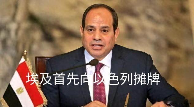 对谴责“免疫”的内塔尼亚胡，遇到“硬杠”的埃及，总统塞西宣布：邀请哈马斯成员到埃