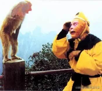 河南济源王屋山的一场偶遇，让无数观众重温了刻在心底的西游情怀。年过花甲的六小龄童