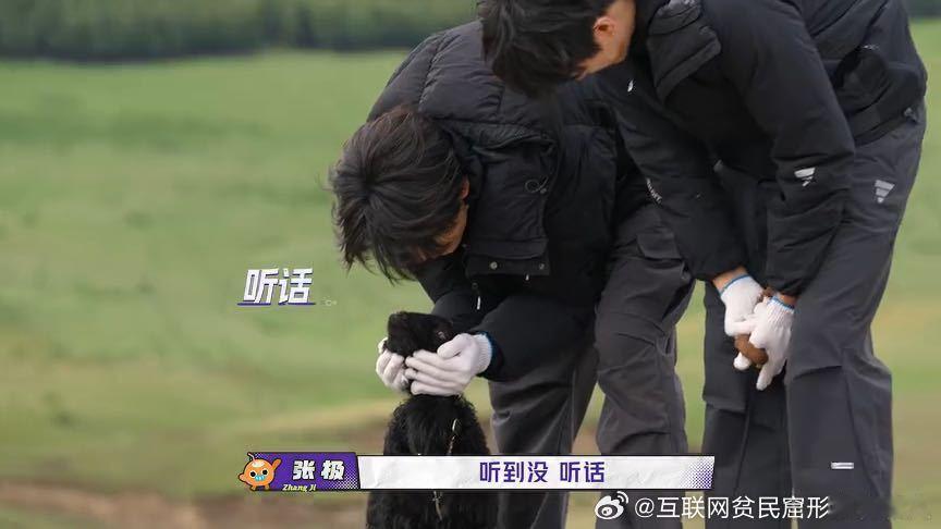 朱志鑫张极对羊撒娇朱志鑫捧着羊的脸撒娇一路向海的少年 向海的羊今天享受了顶流待遇