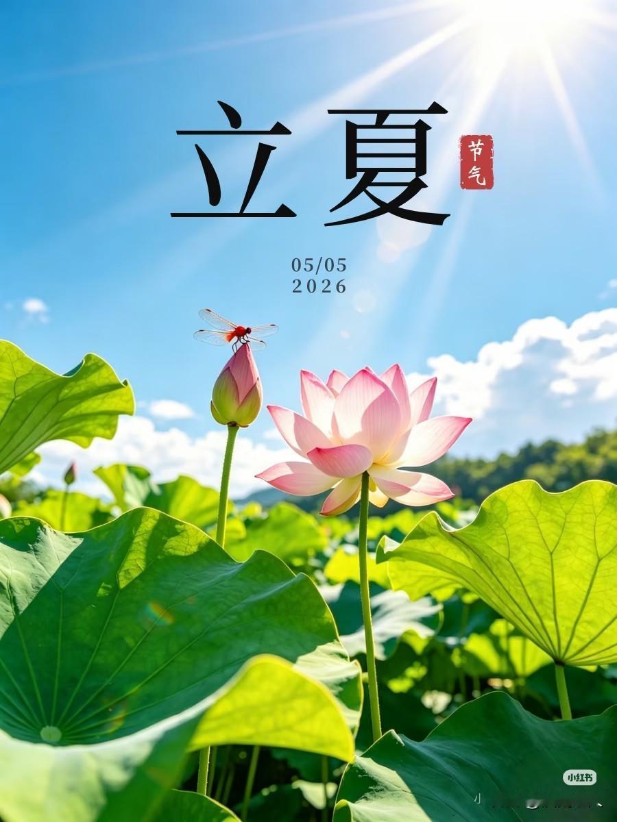 夏天到了！
扬柳青青，百花盛开，鸟语花香。