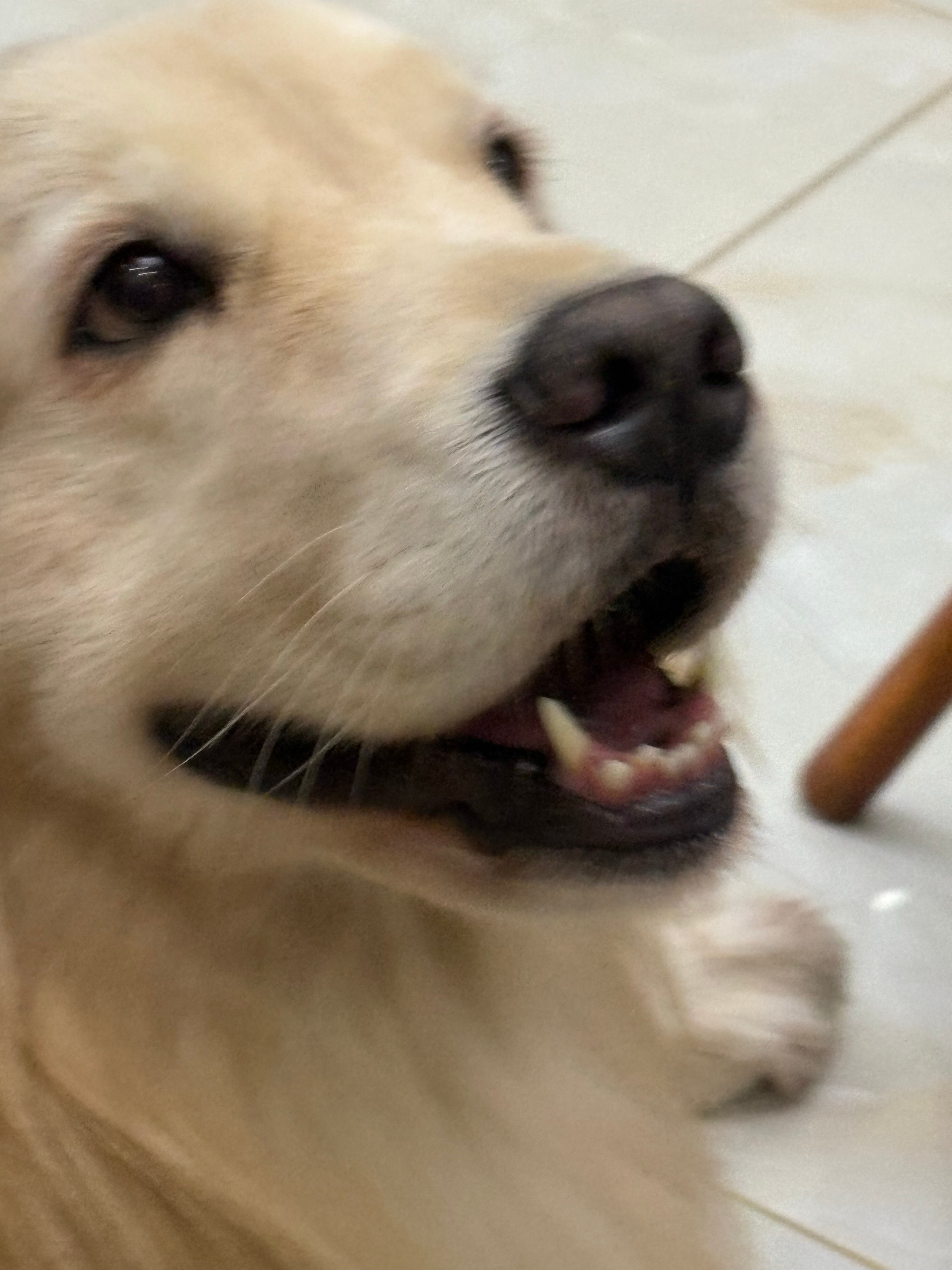 几乎是等于我生的