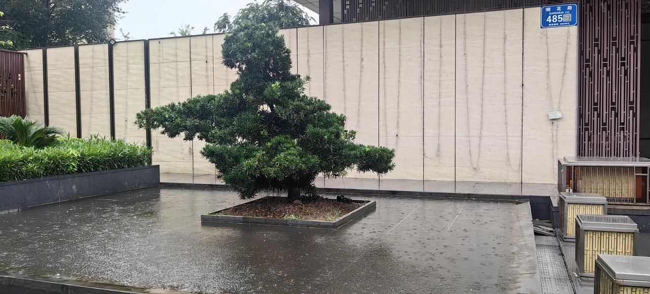 [吃瓜群众]活久见，重庆快到七月了，竟然还是雨兮兮的，一点不热，有人说，就像……