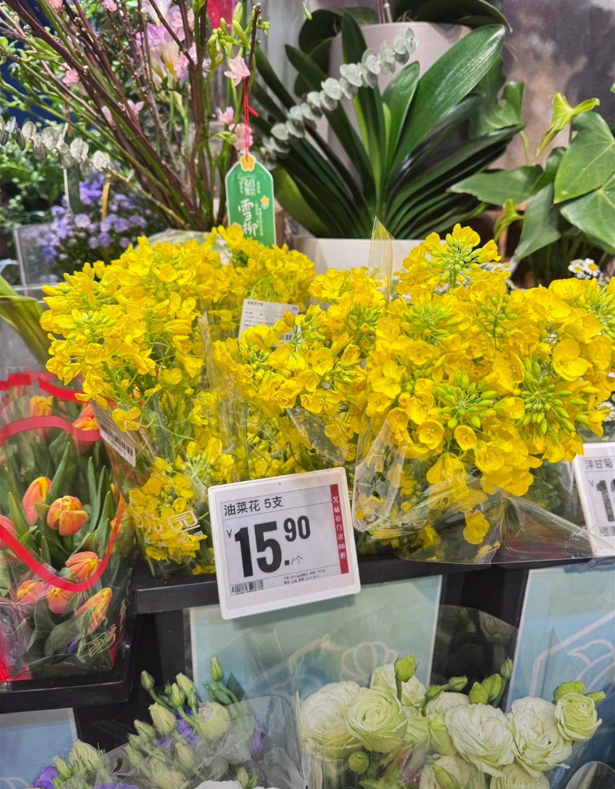 其他花我不懂油菜花我还不懂吗[允悲] ​​​